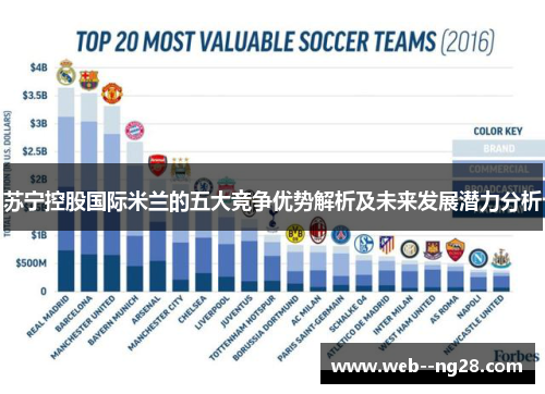 苏宁控股国际米兰的五大竞争优势解析及未来发展潜力分析